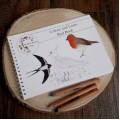 Colour and Learn - Birds