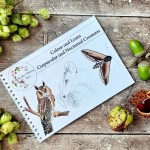 Colour and Learn - Crepuscular and Nocturnal Creatures