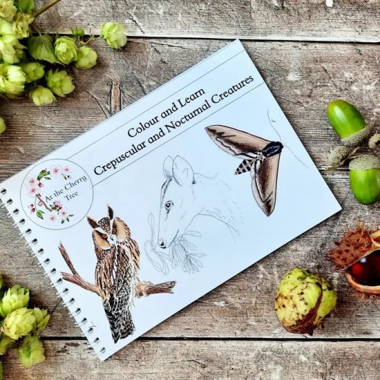 Colour and Learn - Crepuscular and Nocturnal Creatures