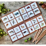 Colour and Learn - Crepuscular and Nocturnal Creatures