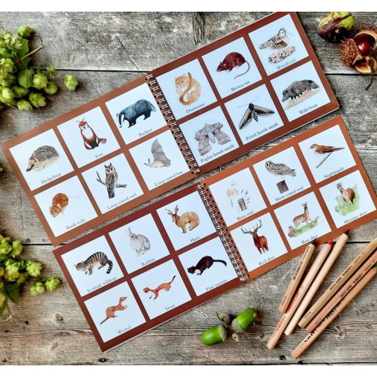 Colour and Learn - Crepuscular and Nocturnal Creatures