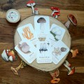 Pocket Set - Fungus Identification