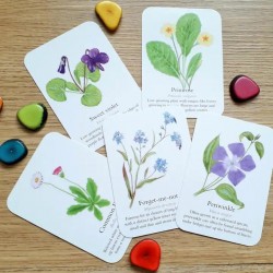 Pocket Set - Garden Wildflowers
