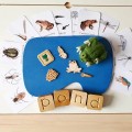 Pocket Set - Pond Life 