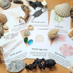 Pocket Set - Beachcombing