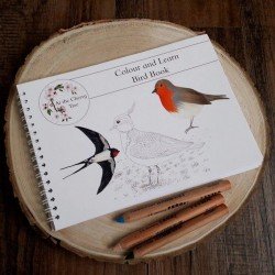 Colour and Learn - Birds
