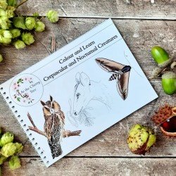 Colour and Learn - Crepuscular and Nocturnal Creatures