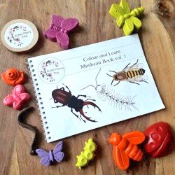 Colour and Learn - Minibeasts