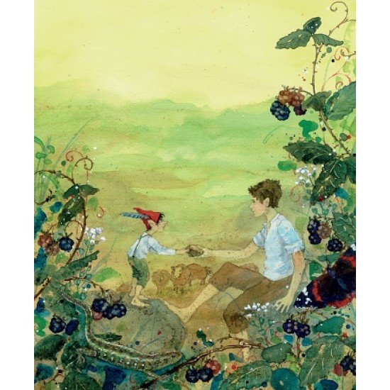 Illustrated Tales of Dwarfs, Gnomes and Fairy Folk