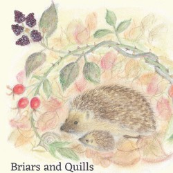 A Year and a Day Issue 7 - Briars & Quills