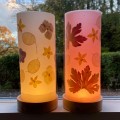 Transparent Paper - Colour Mix