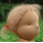 doll making