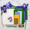 Bloombox - Iris