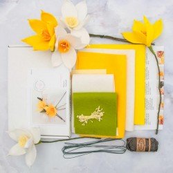 Bloombox - Daffodil