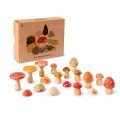 Grapat Mushroom Grove (26-284)