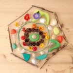 Grimms Small World Play - In the Woods