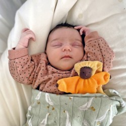 Grimms Lavender Doll - Sun