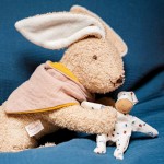 Kathe Kruse Holly Hare