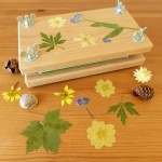 Mader Sycamore Flower Press