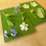 Mader Sycamore Flower Press