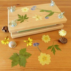 Mader Sycamore Flower Press