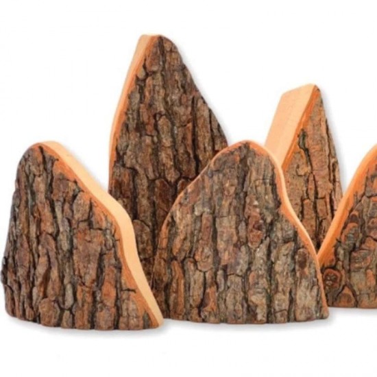 Magic Wood Dragon Rocks