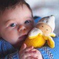 first dolls & soft toys