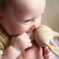 teethers