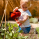 gardening & outdoors