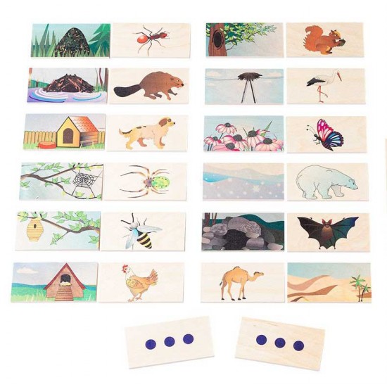 Dusyma Animal Habitat - Pairs Game