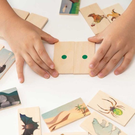 Dusyma Animal Habitat - Pairs Game