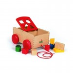 Nic Shape Sorter Cart