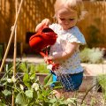 gardening & outdoors