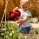 gardening & outdoors