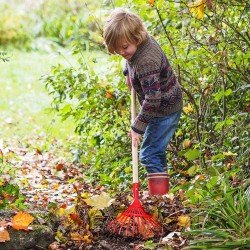 Gluckskafer Leaf Rake