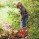 gardening & outdoors