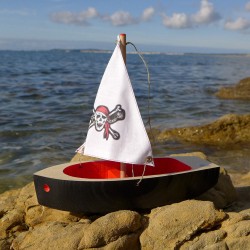 Pirate Sailing Ship