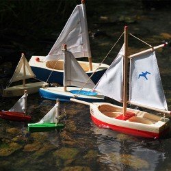 Seagull Sailing Boat