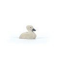 Ostheimer Cygnet