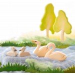 Ostheimer Swan