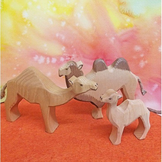 Ostheimer Camel small