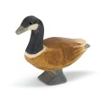 Ostheimer Canada Goose standing