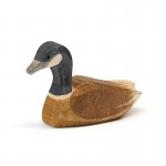 Ostheimer Canada Goose swimming