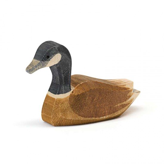 Ostheimer Canada Goose swimming