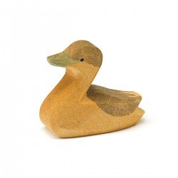 Ostheimer Canada Gosling