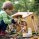 stables & arks