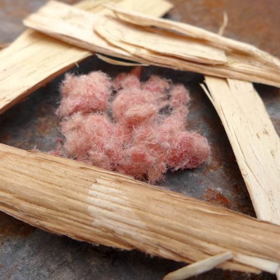 Ignition Wool