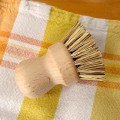 Pot Brush