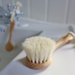 Face Brush