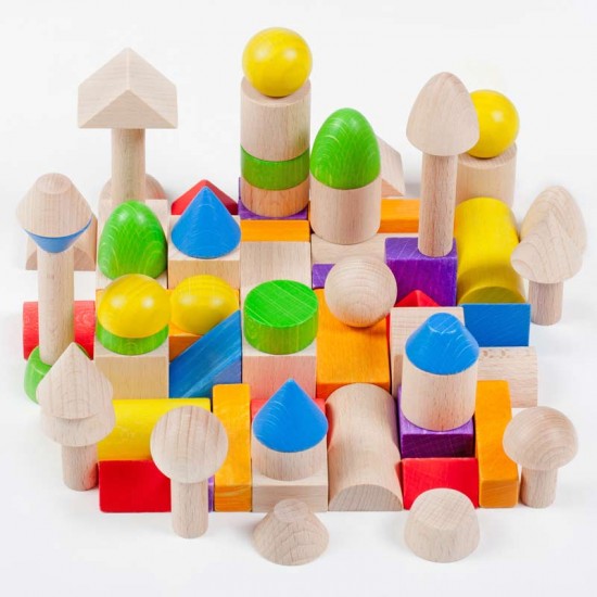 Sina Small Building Blocks World